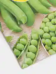 Горох Медовик (семена)