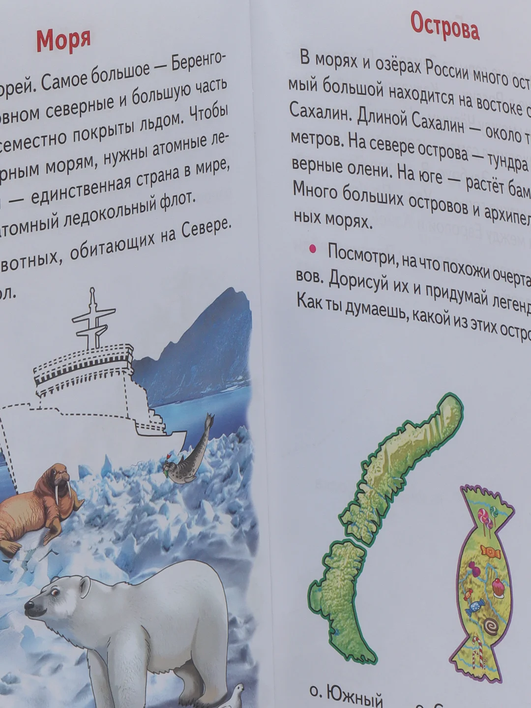 Знакомимся с окружающим миром 5-6 лет. Ольга Колпакова. Тетрадь цветная
