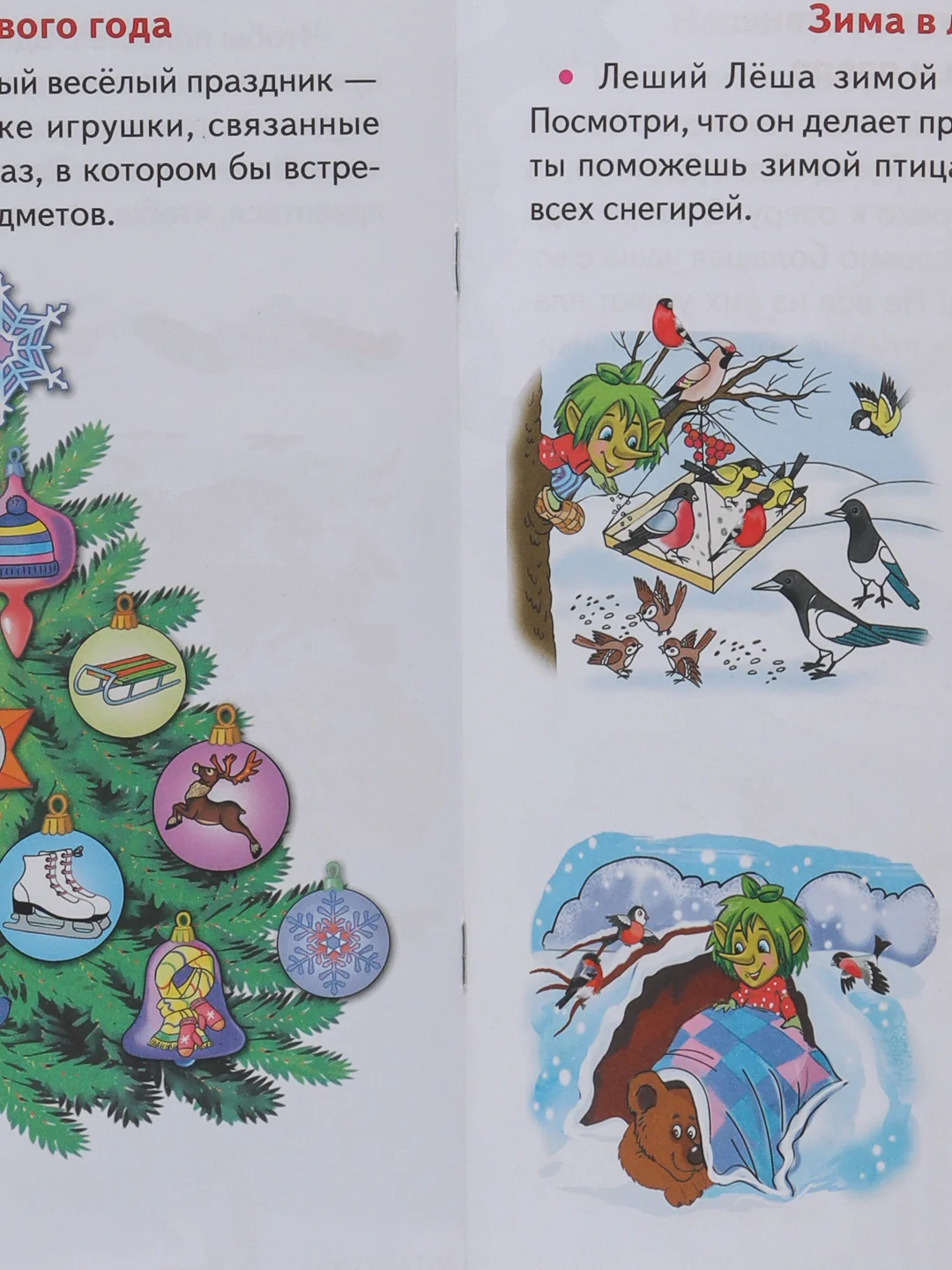 Знакомимся с окружающим миром 4-5 лет. Ольга Колпакова. Тетрадь цветная