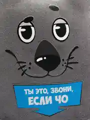 Автоигрушка на присосках с карточкой для записи номера