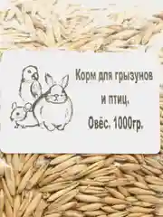 Корм для грызунов и птиц "Овёс", 1000 г