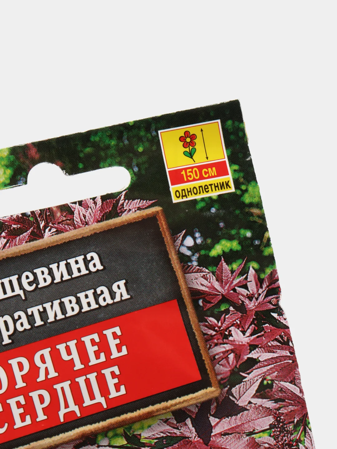 Семена цветы "Клещевина Горячее сердце"