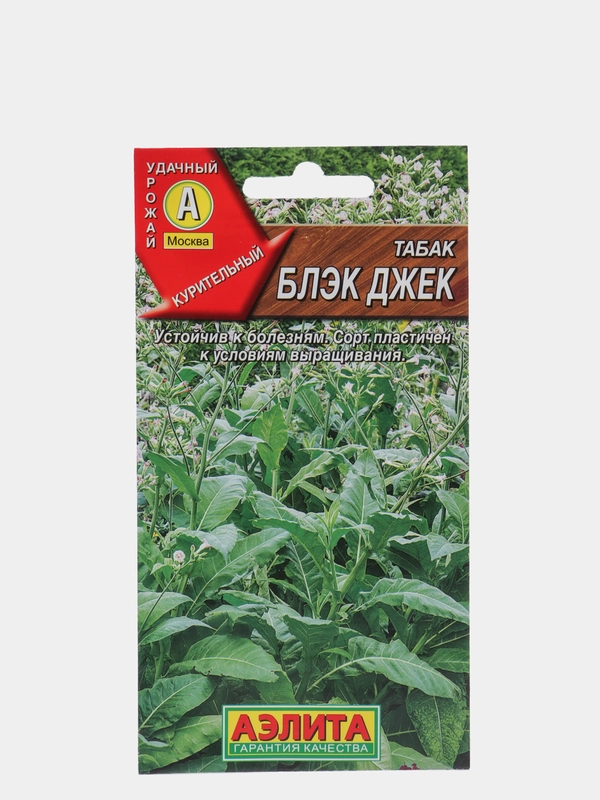 Табак курительный Блэк Джэк, семена Аэлита