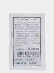 Укроп Кустистый,б/п вес 2 гр., семена (Аэлита)