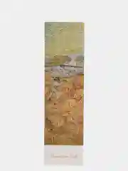 Ледяной закладки