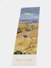 Лайм закладки