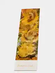 Коралловый закладки