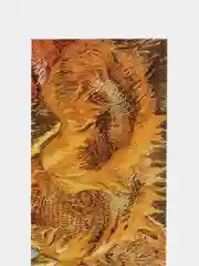 Коралловый закладки