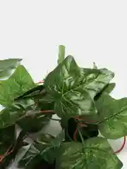 Искусственные цветы для декора "Зеленый плющ - лиана" Лиана
