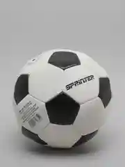 Мяч футбольный Sprinter