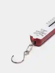 Зеленый весы хозяйственные безмен, 10 кг, 1 штука