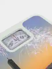 Лавандовый весы напольные механические 25*25*5 см