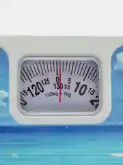Морской весы напольные механические 25*25*5 см