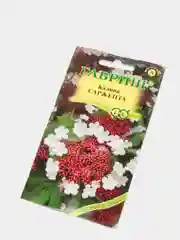 Калина Саржента (семена,цветы)