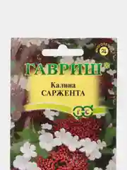 Калина Саржента (семена,цветы)