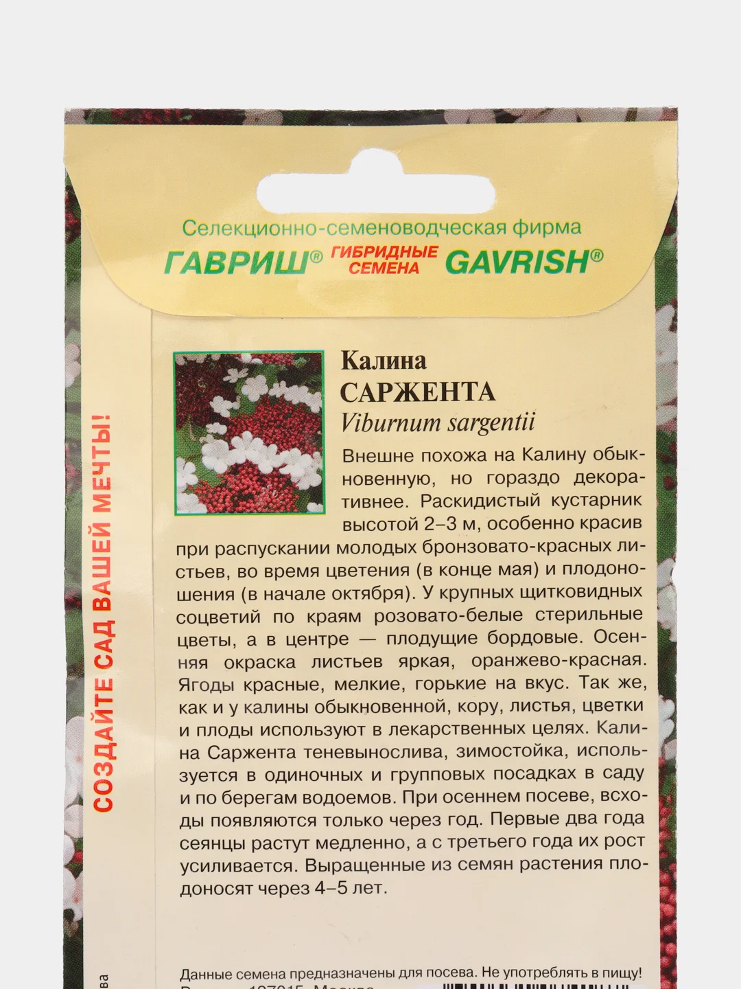 Калина Саржента (семена,цветы)