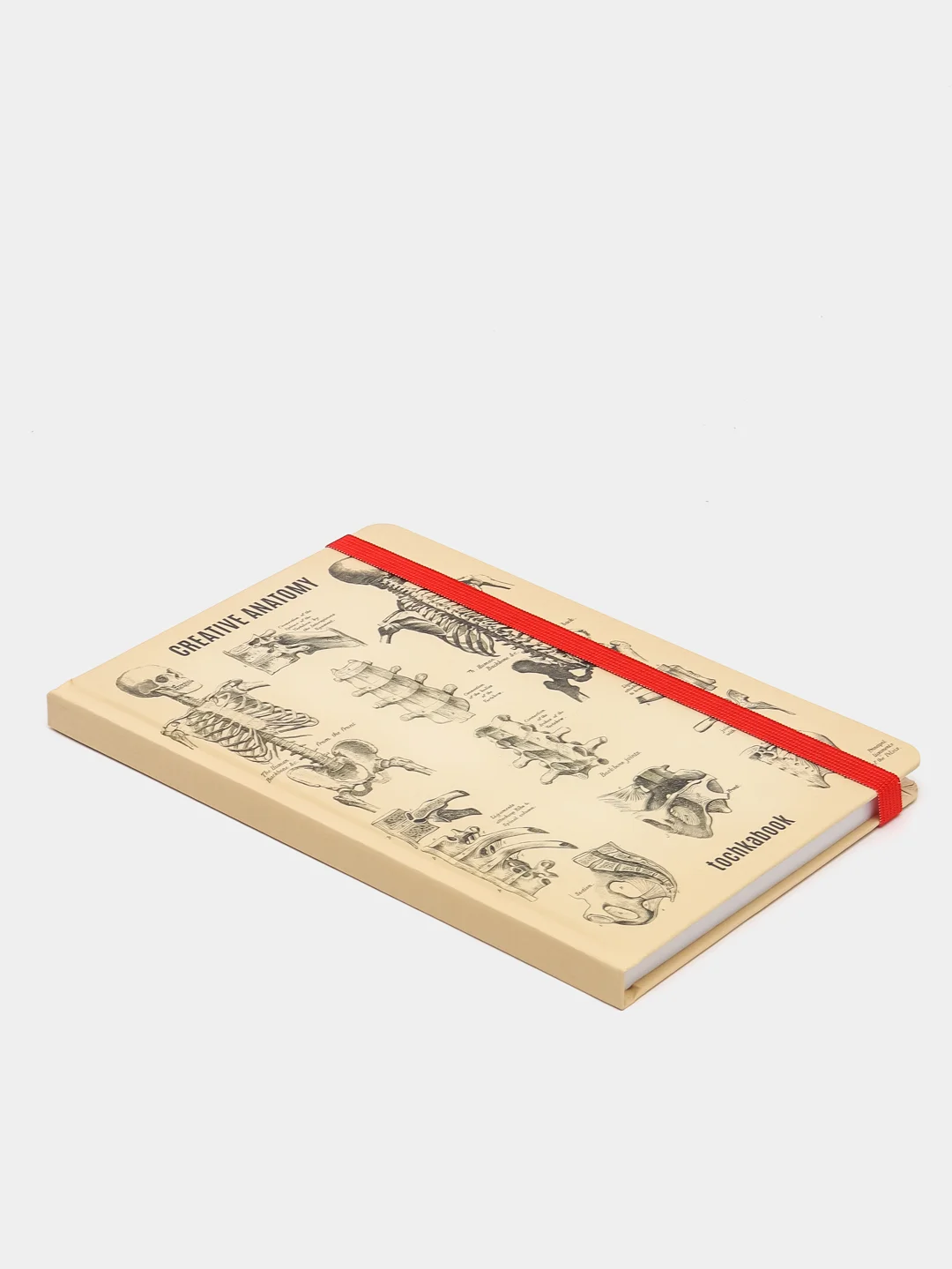 Блокнот в точку Tochkabook Bullet Journal "Анатомия", А5