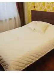 Покрывало 240х220 см велюровое стеганое на кровать. В комплекте 2 подушки 45х45 см