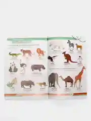Книга "Первые 500 английских слов", 60 страниц