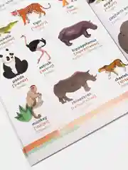 Книга "Первые 500 английских слов", 60 страниц