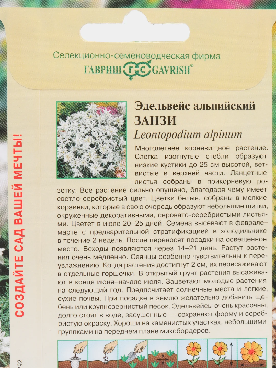 Семена эдельвейса альпийского "Занзи"