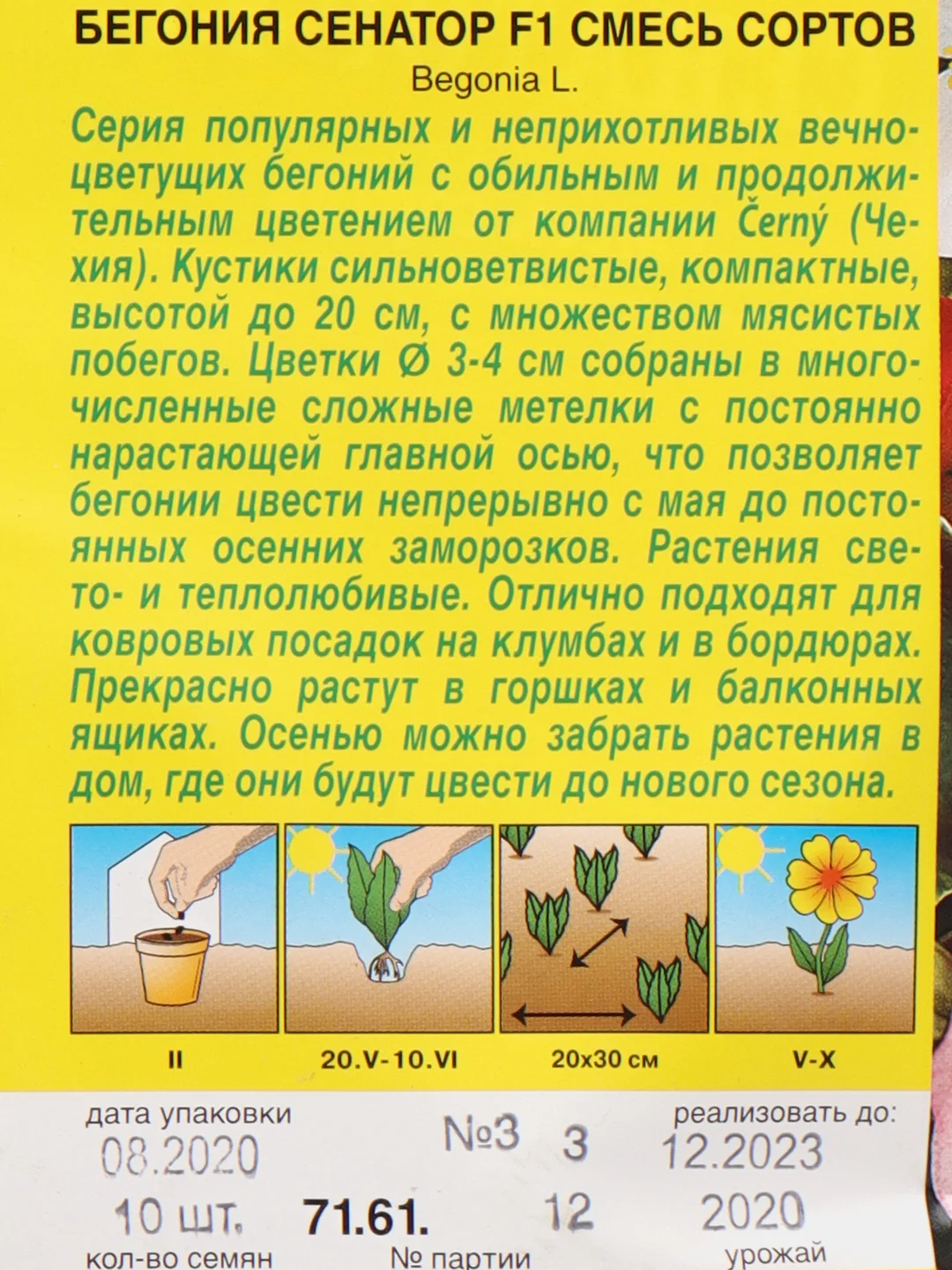 Семена цветов Бегония вечноцветущая "Сенатор F1", смесь, О, 10 шт