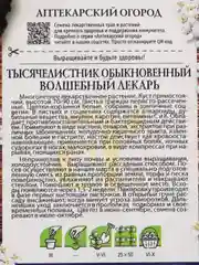 Семена тысячелистника "Волшебный лекарь"