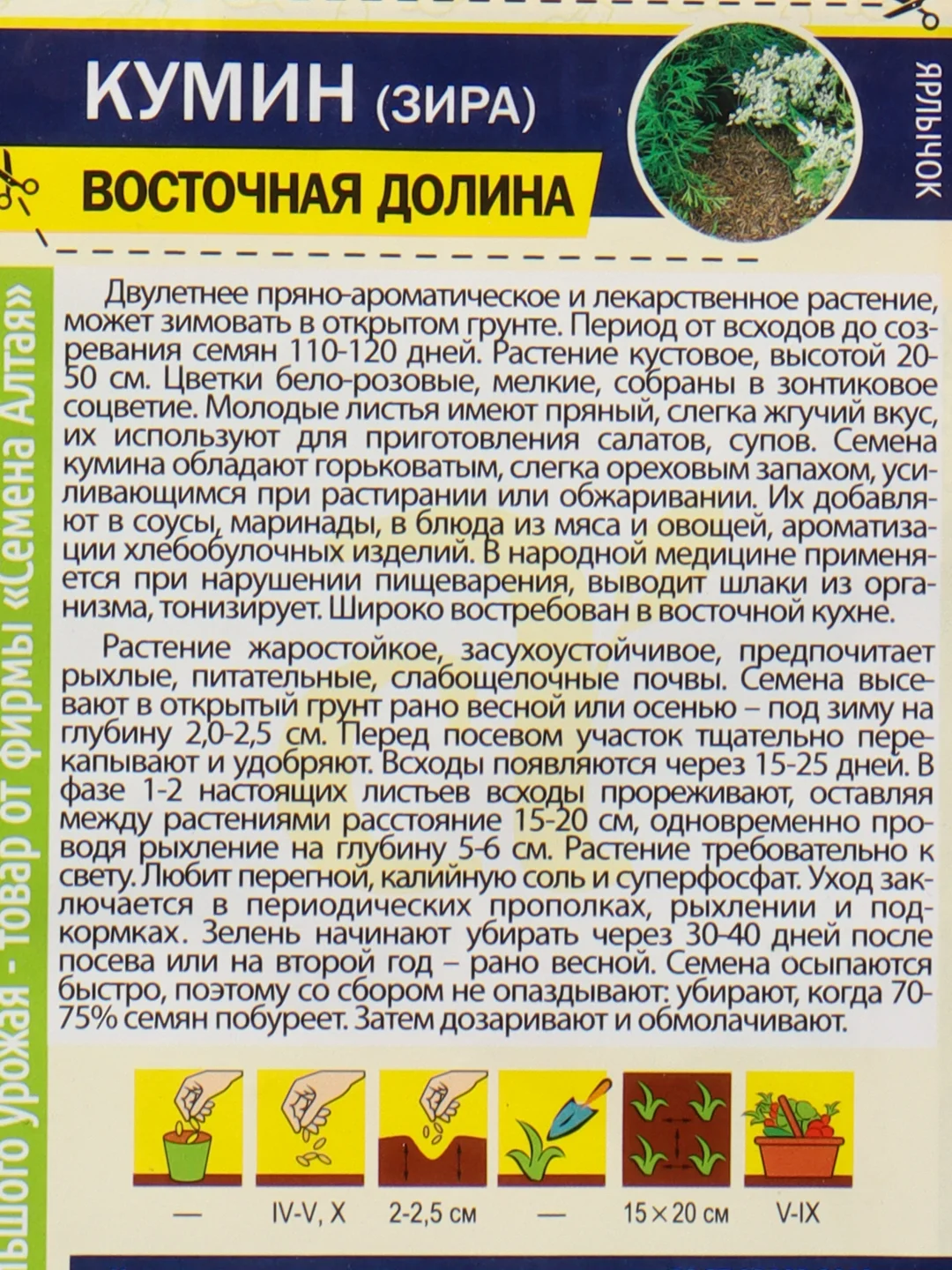 Кумин, Зира "Восточная долина", семена