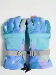 Ледяной зимние перчатки, горнолыжные, унисекс