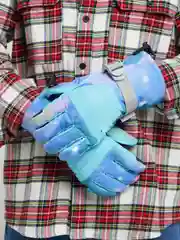 Ледяной зимние перчатки, горнолыжные, унисекс