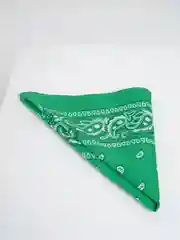 Салатовый бандана с принтом