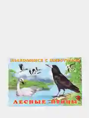 Белый книга детская о животных