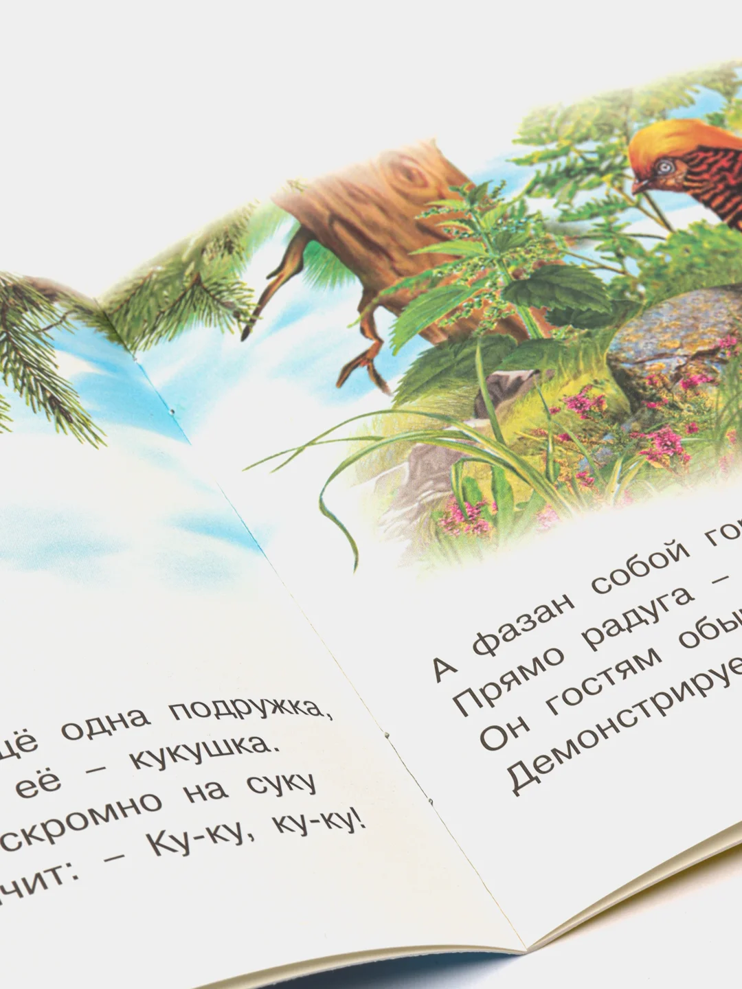 Белый книга детская о животных