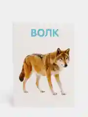Голубой логопедические карточки для детей "Говорим буквы"