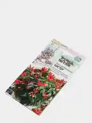 Перец Костер кустарниковый (семена)