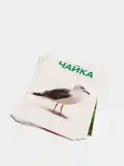 Зеленый логопедические карточки для детей "Говорим буквы"