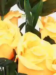 Желтый букет роз 9 голов, искусственные, ритуальные цветы