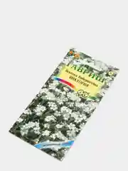 Семена Ясколка Биберштейна "Виктория"