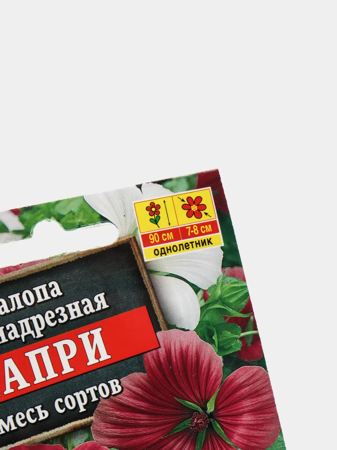 Семена цветы "Малопа Капри"