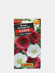 Семена цветы "Малопа Капри"
