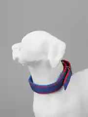 Морской ошейник для домашних животных, нейлоновый с подкладкой, разноцветные