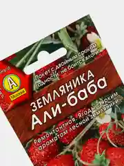 Семена Земляника "Али Баба", ремонтантная, 0,04 г