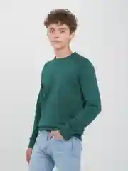 Свитшот мужской  ALGA