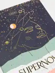 Бронзовый тетрадь "Supernova", матовая ламинация, 48 листов