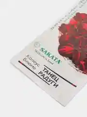 Колеус "Танец радуги",  семена, цветы
