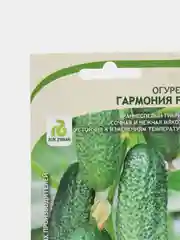 Огурец Гармония, семена