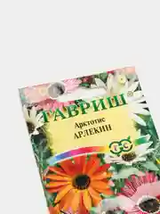 Арктотис "Арлекин", семена, цветы