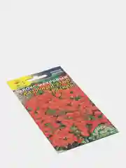 Флокс Сказочный эльф красный (семена,цветы)