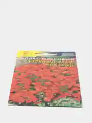 Флокс Сказочный эльф красный (семена,цветы)