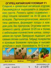 Огурец Китайский пломбир F1, семена (Аэлита)